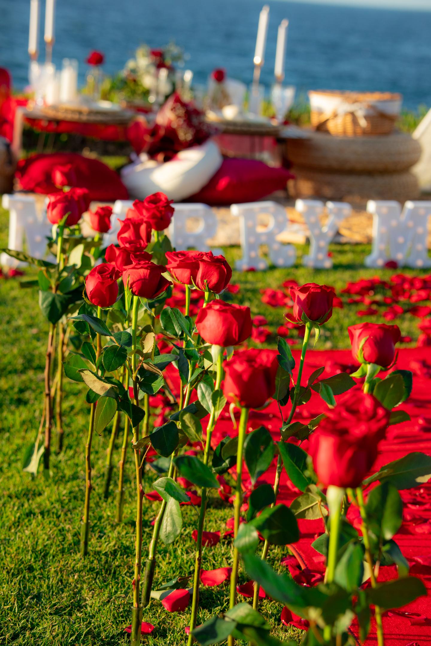 Flores dispuestas en el picnic (12/31)